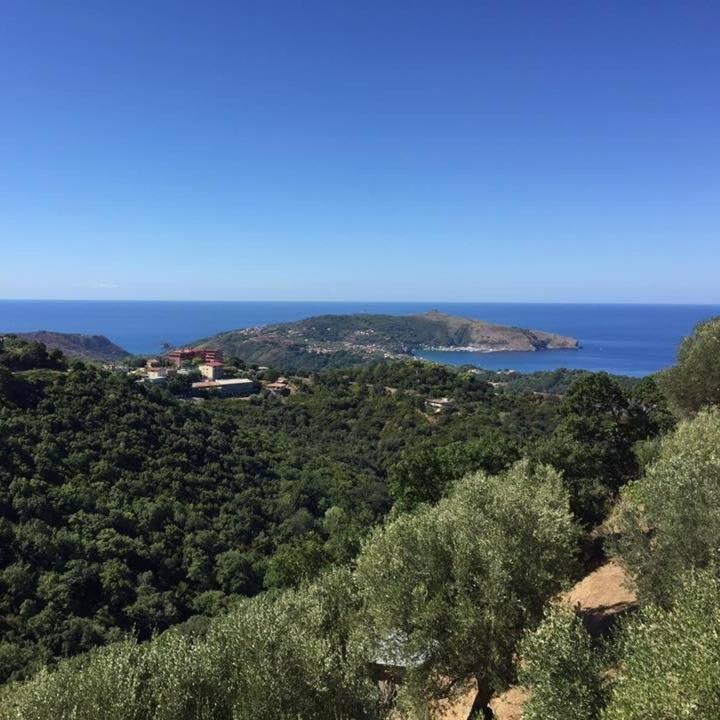 Casa Vacanze Domus Centola Eksteriør billede