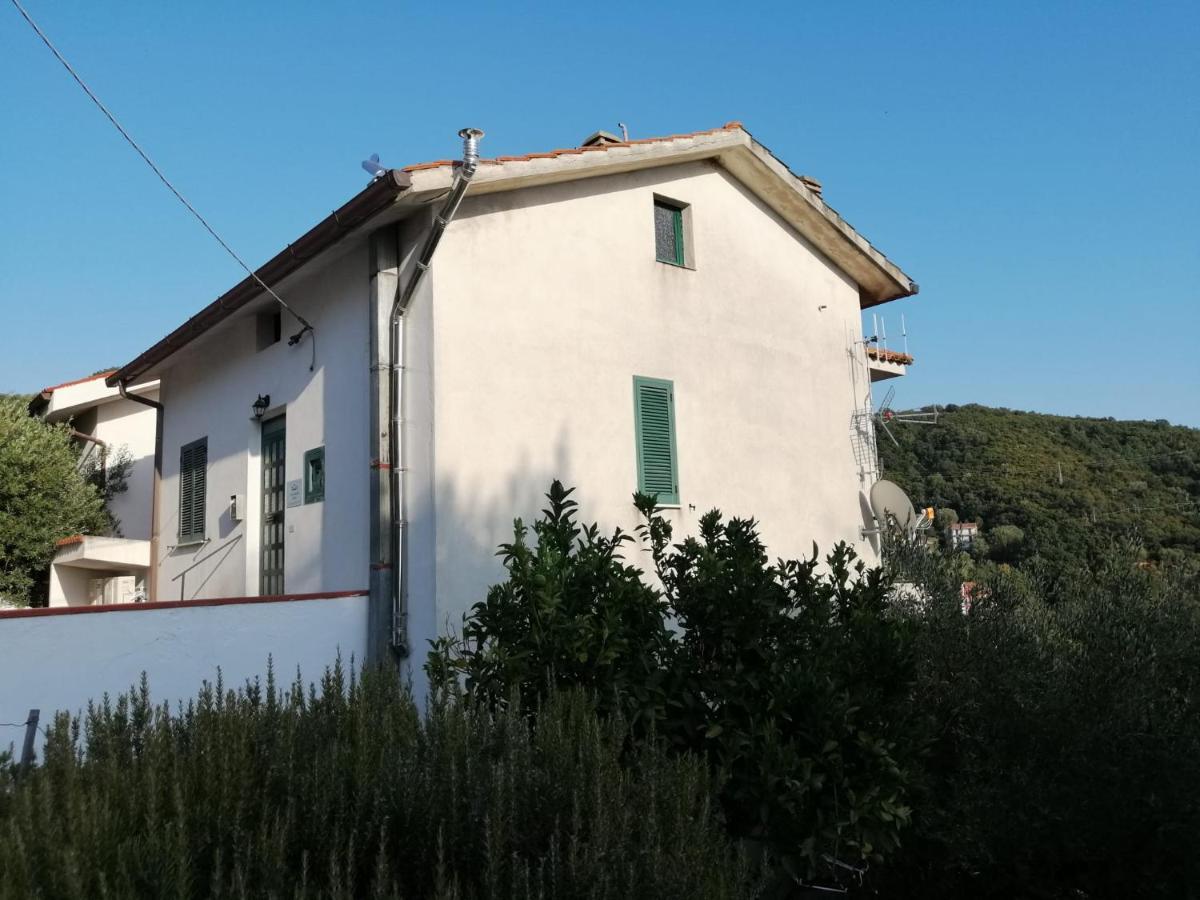 Casa Vacanze Domus Centola Eksteriør billede